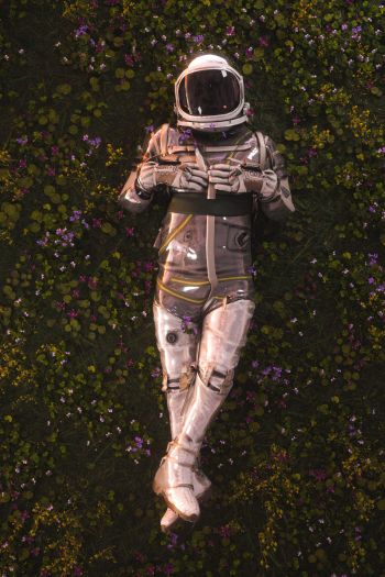 Обои 640x960 космонавт, поле, цветы