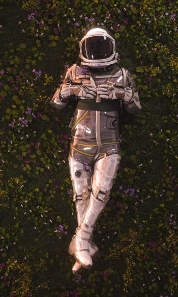 Обои 1200x2000 космонавт, поле, цветы