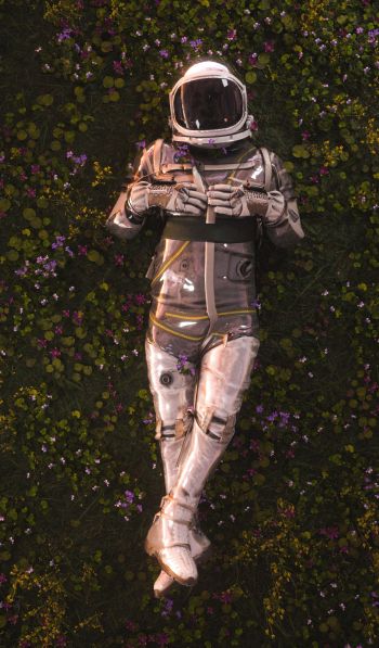 Обои 600x1024 космонавт, поле, цветы