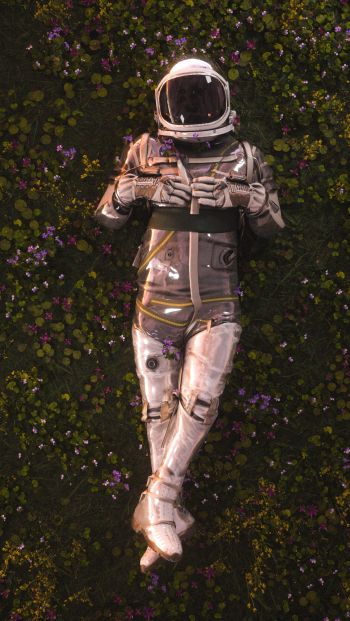 Обои 640x1136 космонавт, поле, цветы