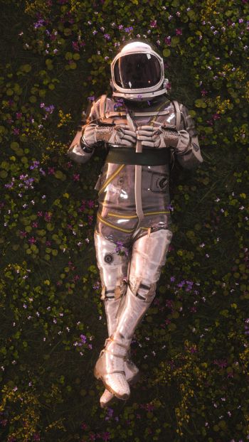 Обои 720x1280 космонавт, поле, цветы