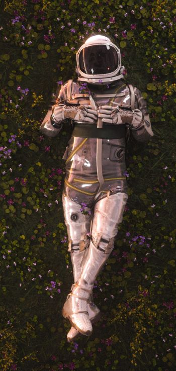 Обои 1080x2280 космонавт, поле, цветы