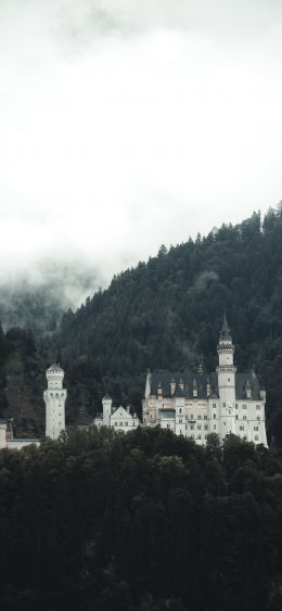 lock, mountains, forest, clouds Wallpaper 1080x2340