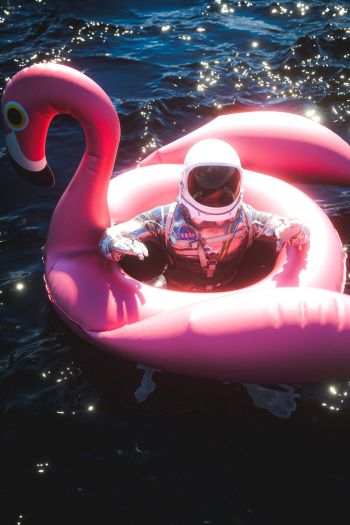 Обои 640x960 космонавт, надувной, фламинго