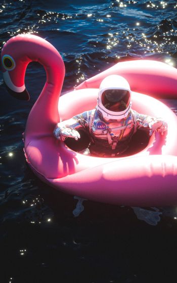 Обои 1600x2560 космонавт, надувной, фламинго