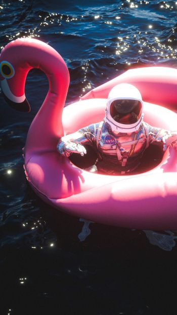 Обои 1080x1920 космонавт, надувной, фламинго