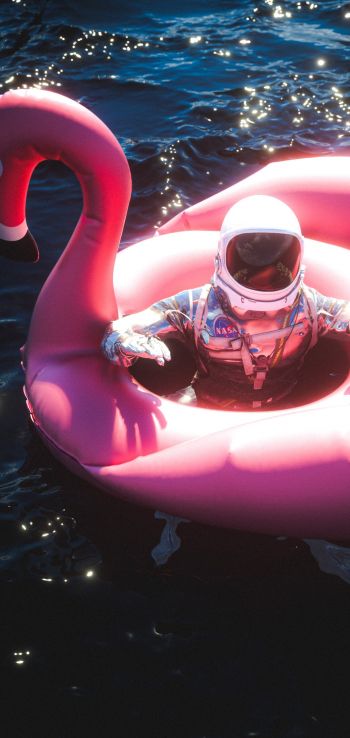 Обои 720x1520 космонавт, надувной, фламинго