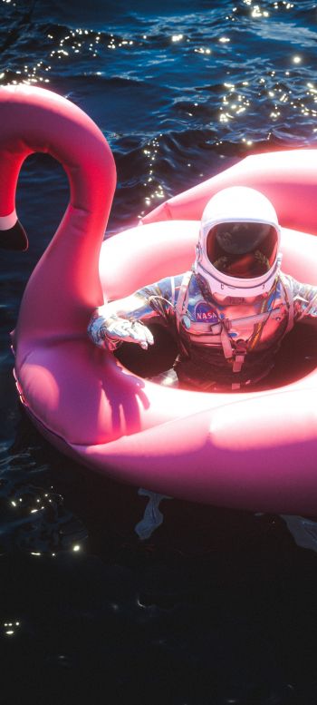 Обои 720x1600 космонавт, надувной, фламинго