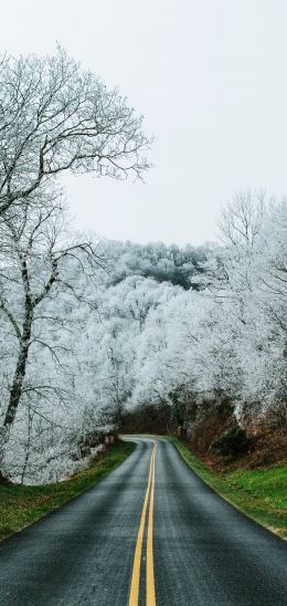 road, snow forest Wallpaper 720x1520