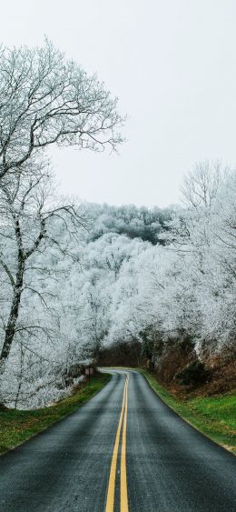 road, snow forest Wallpaper 1080x2340