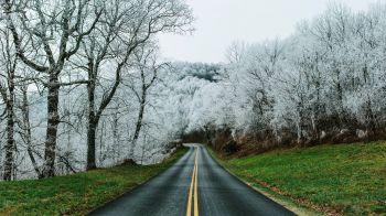 road, snow forest Wallpaper 2048x1152