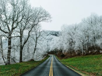 road, snow forest Wallpaper 1024x768