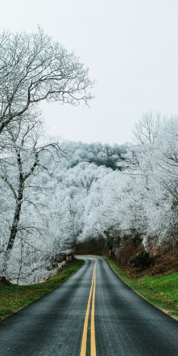 road, snow forest Wallpaper 720x1440
