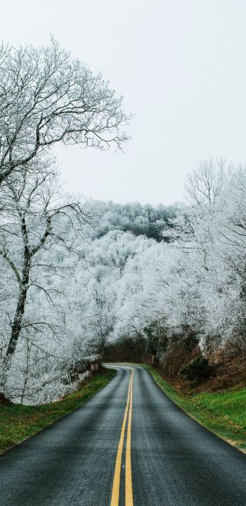 Обои 1080x2220 дорога, снежный лес