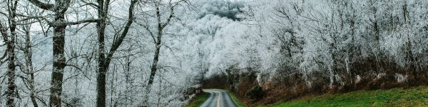 road, snow forest Wallpaper 1590x400