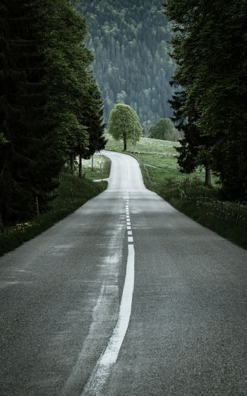 road, forest, green Wallpaper 1200x1920