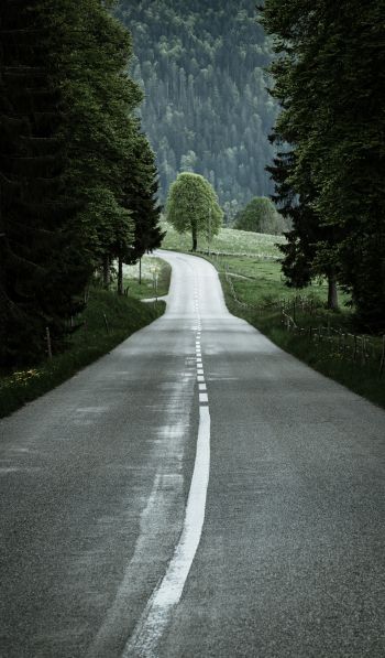 road, forest, green Wallpaper 600x1024