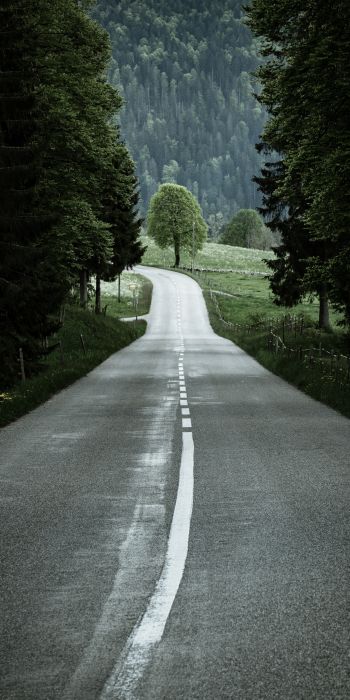 road, forest, green Wallpaper 720x1440