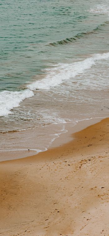 sea, sand, wave, breeze Wallpaper 828x1792