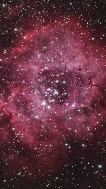 space, stars, star cloud Wallpaper 640x1136
