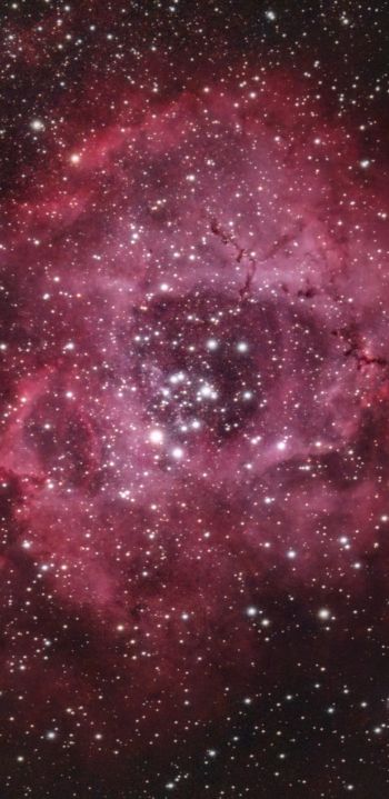 space, stars, star cloud Wallpaper 1080x2220