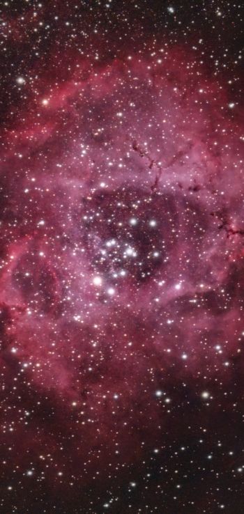 space, stars, star cloud Wallpaper 720x1520