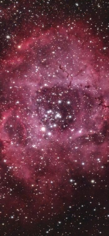 Обои 828x1792 космос, звезды, облако звезд