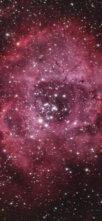 space, stars, star cloud Wallpaper 1080x2340