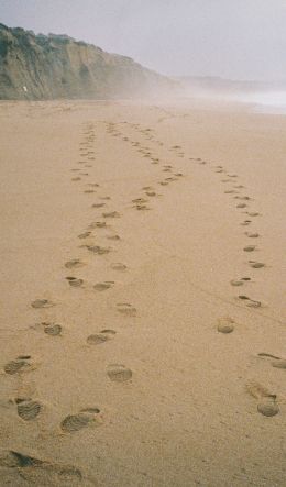 sand, traces, sea Wallpaper 600x1024