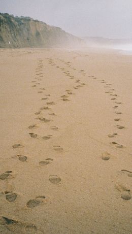 sand, traces, sea Wallpaper 640x1136