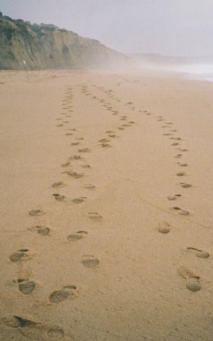 sand, traces, sea Wallpaper 1752x2800