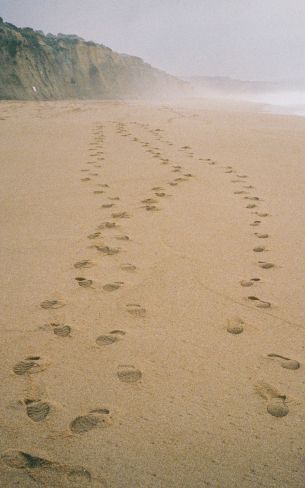 sand, traces, sea Wallpaper 800x1280