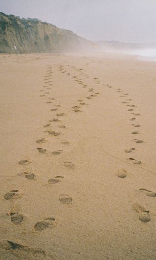 sand, traces, sea Wallpaper 1200x2000