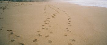 sand, traces, sea Wallpaper 2560x1080
