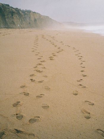 sand, traces, sea Wallpaper 2048x2732