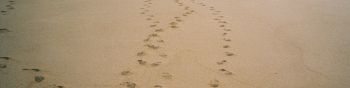 sand, traces, sea Wallpaper 1590x400