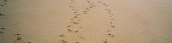 sand, traces, sea Wallpaper 1590x400