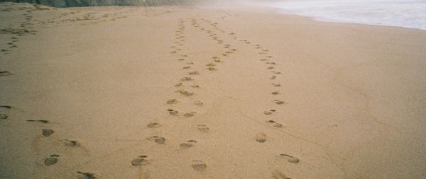 sand, traces, sea Wallpaper 2560x1080