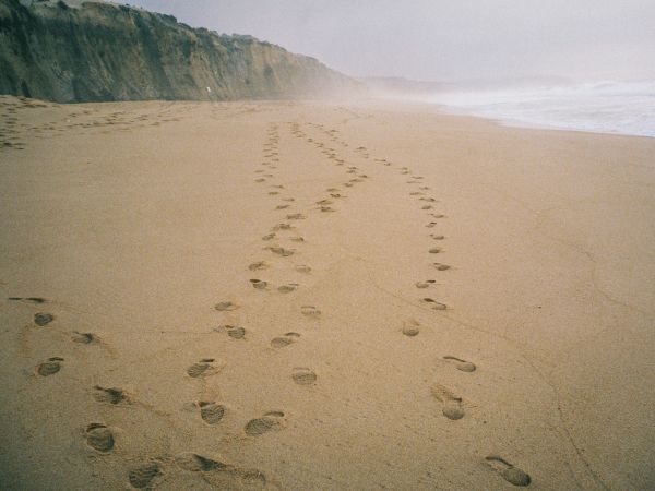 sand, traces, sea Wallpaper 1024x768