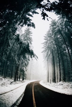 road, winter, snow Wallpaper 3697x5545