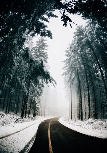 road, winter, snow Wallpaper 1668x2388