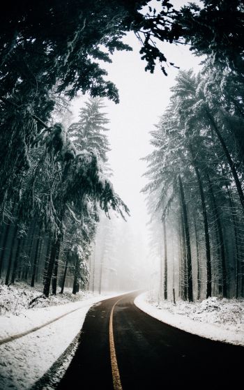 road, winter, snow Wallpaper 1752x2800