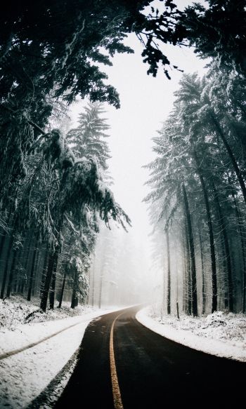 road, winter, snow Wallpaper 1200x2000