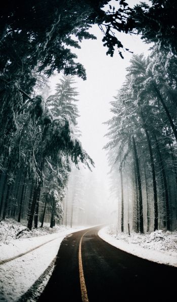 road, winter, snow Wallpaper 600x1024
