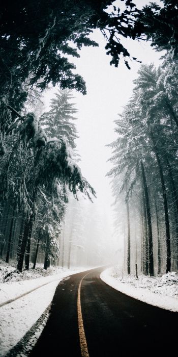 road, winter, snow Wallpaper 720x1440