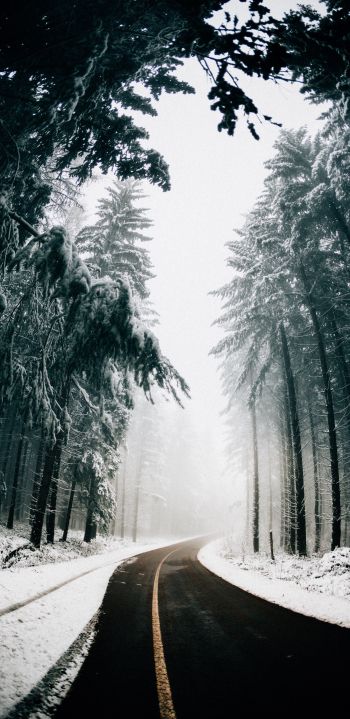 road, winter, snow Wallpaper 1440x2960