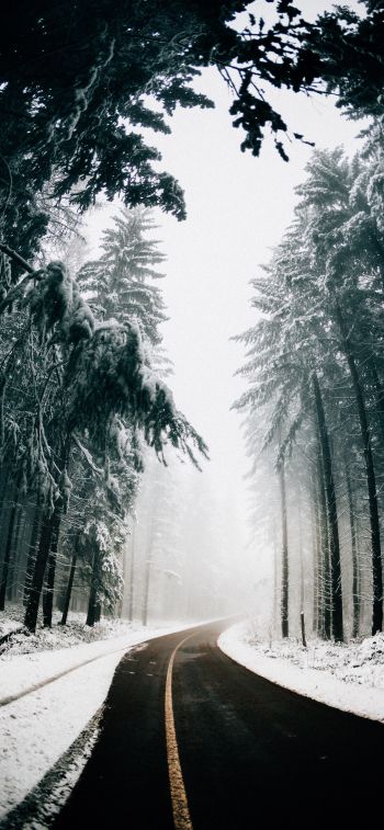 road, winter, snow Wallpaper 828x1792