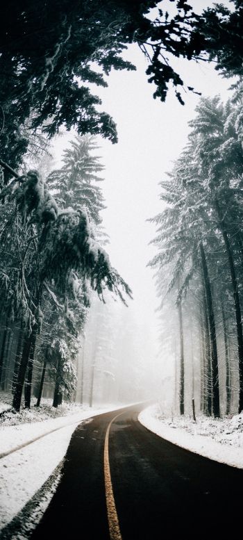 road, winter, snow Wallpaper 1080x2400