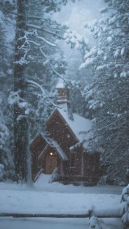 Обои 640x1136 дом в лесу, зима, снег