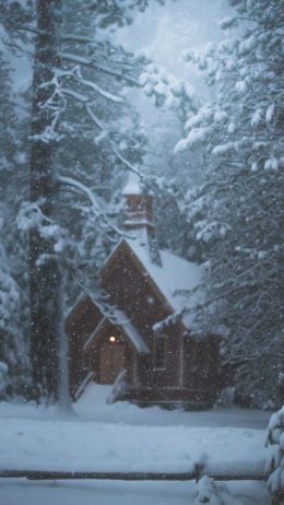 Обои 750x1334 дом в лесу, зима, снег